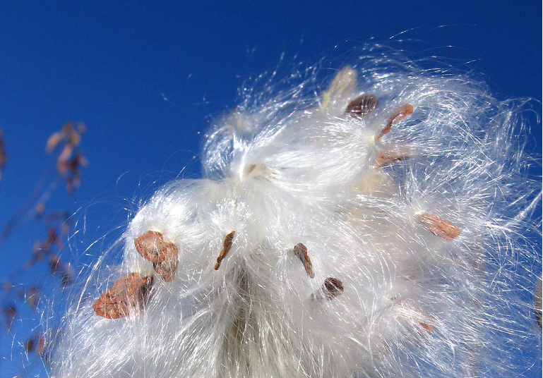 Demystify the ‘fluff’ around your business – it’s what your customers like, trust and buy