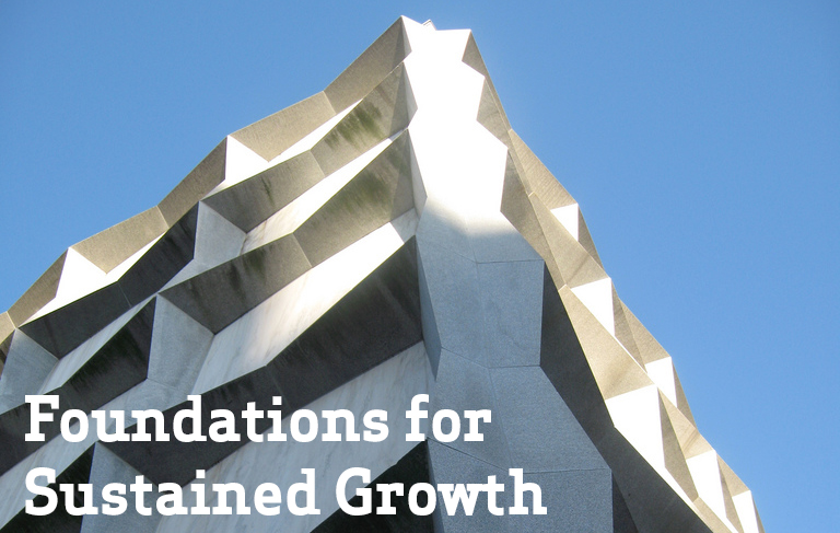 4 Key Steps to Establish the Foundations for Sustained Growth